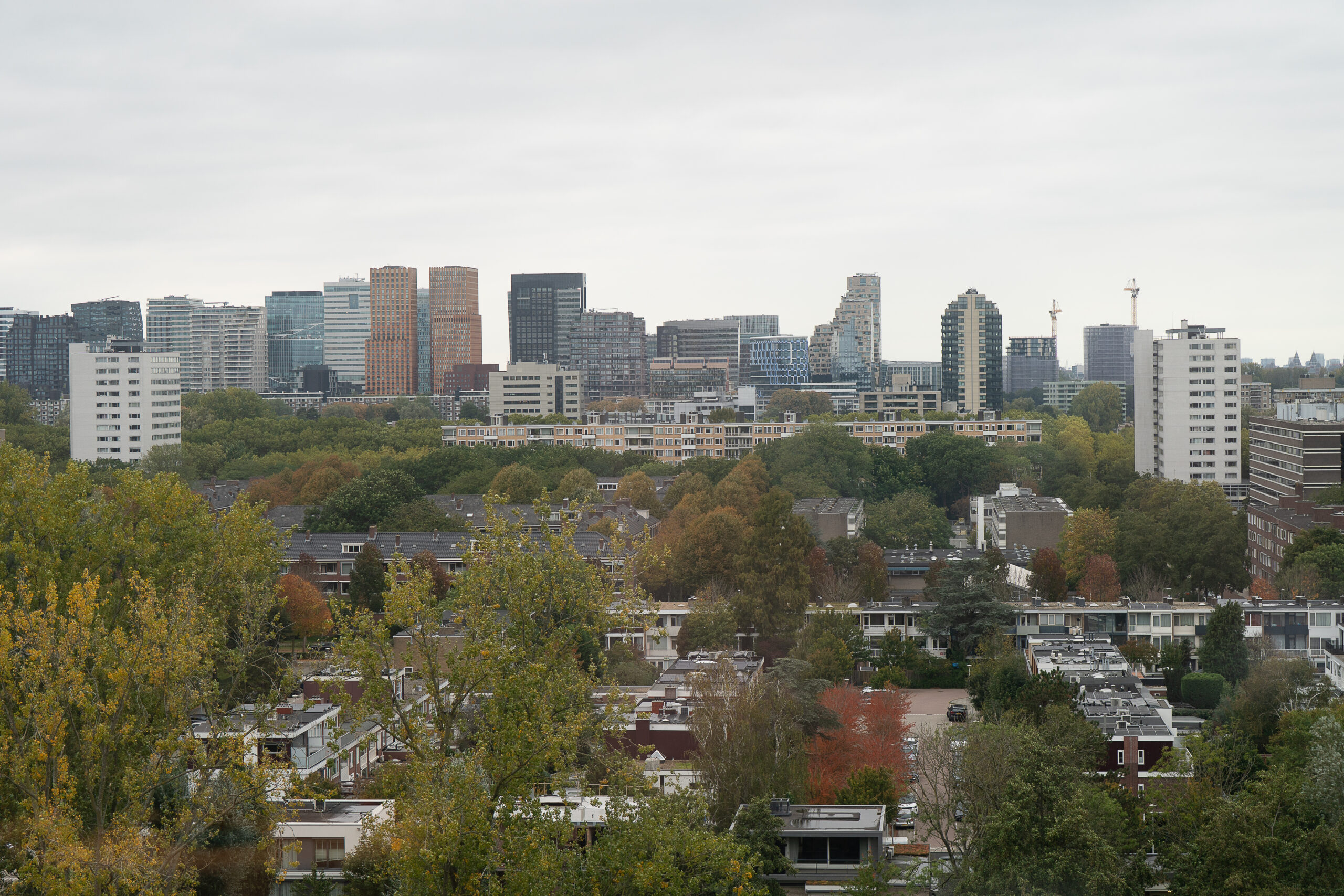 City skyline with trees in the foreground